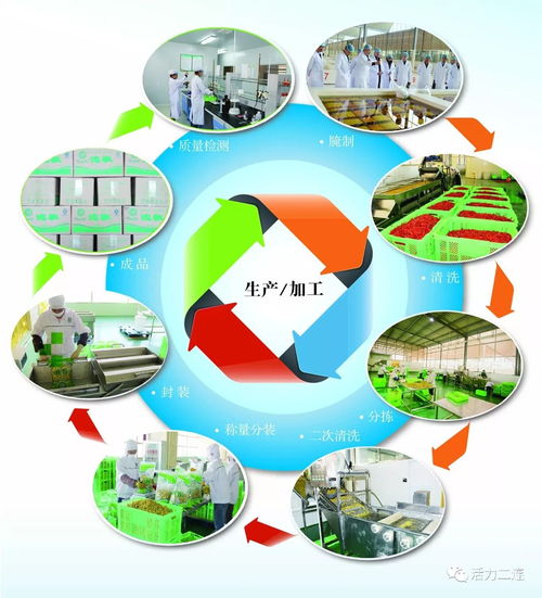 組織會員單位參加二連浩特邊民互市貿易區(qū)商品展銷會，推動商品零售貿易發(fā)展